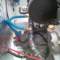 yanmar49_small.jpg